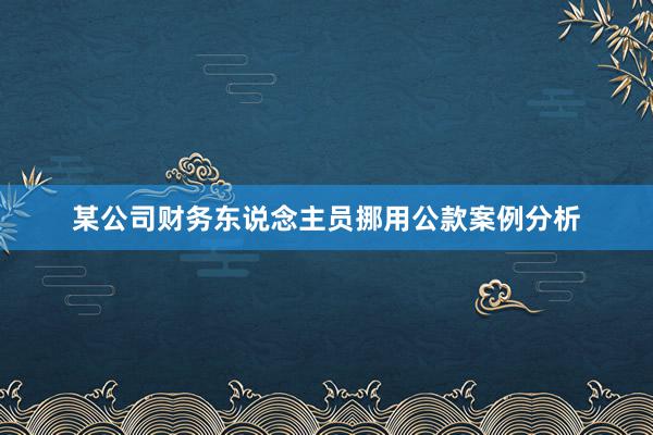 某公司财务东说念主员挪用公款案例分析